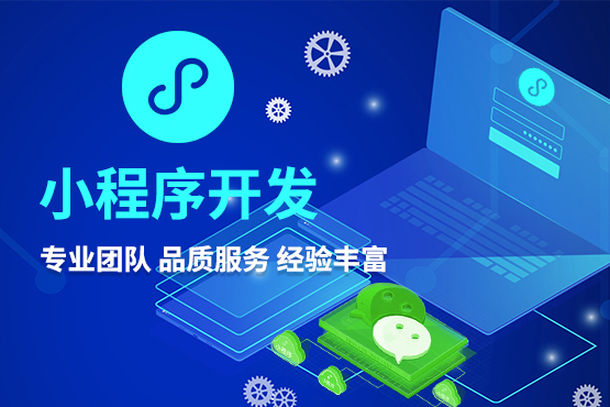 上海小程序開發外包