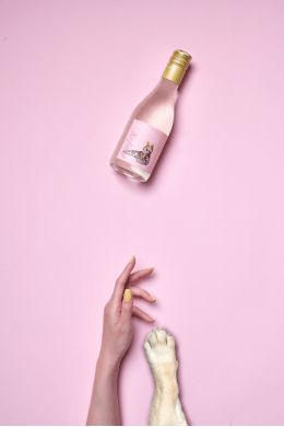 寵物友好酒水品牌Cheers2Paws樂樂爪 現(xiàn)已全面上線小程序商城6 Cheers2Paws樂樂爪