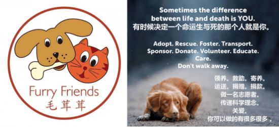 寵物友好酒水品牌Cheers2Paws樂樂爪 現(xiàn)已全面上線小程序商城10 Cheers2Paws樂樂爪