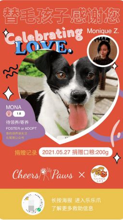 寵物友好酒水品牌Cheers2Paws樂樂爪 現(xiàn)已全面上線小程序商城14 Cheers2Paws樂樂爪