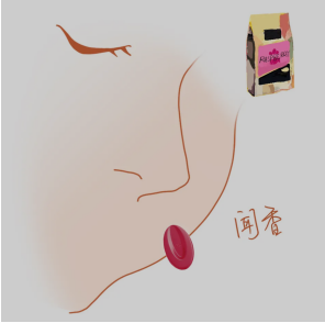 如何品鑒巧克力?法芙娜感官研究所和您一起品鑒