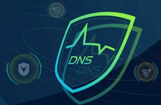 高防DNS是什么,高防DNS有什么作用? 高防DNS是什么